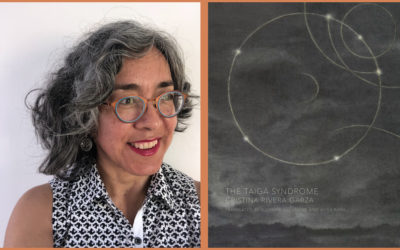 Questions of Genre and Gender: Talking to Cristina Rivera Garza – BLARB