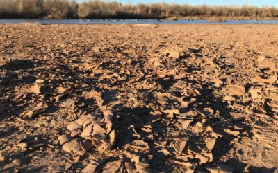 New Mexico farmers brace for meager water allocations | Albuquerque Journal