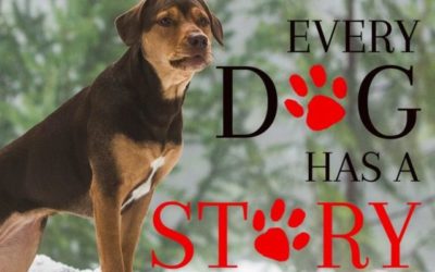 Canine Star Of “A Dog’s Way Home” Was Hand-Picked From A Tennessee Shelter