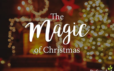 The Magic of Christmas: Feeling Like a Kid Again! | PCAH