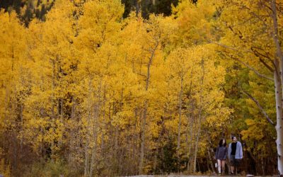 PHOTOS: Fall colors are on fire throughout the Colorado mountains