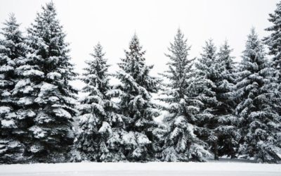 Thousands without power in Colorado mountains after widespread outage occurs | OutThere Colorado