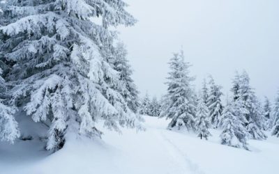 12 inches of spring snow to drop in Colorado mountains | OutThere Colorado