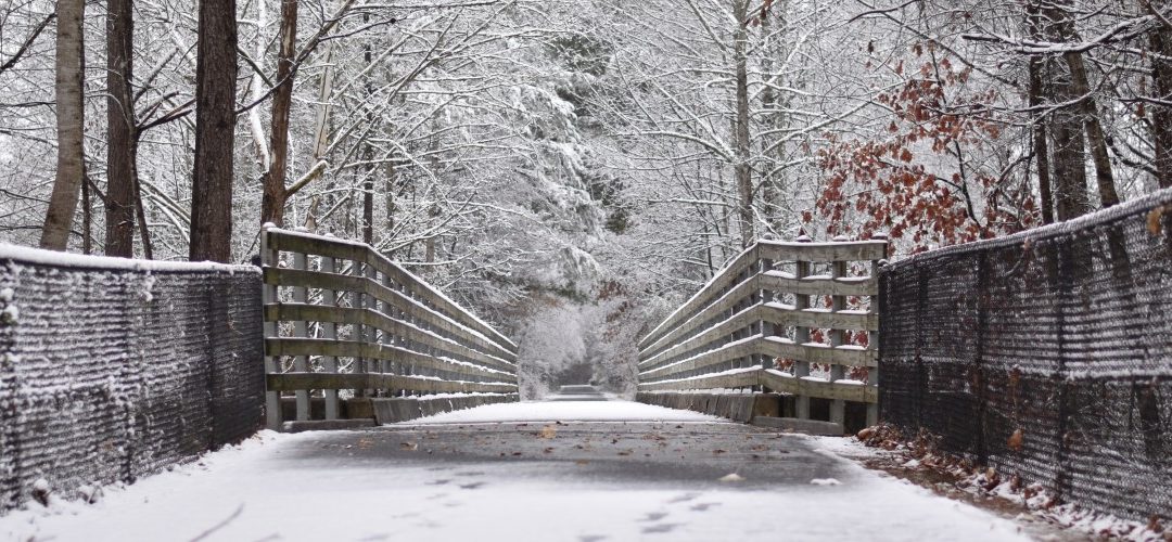 5 Great Blizzard Thrillers That Will Speak to Your Snowbound Soul