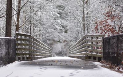 5 Great Blizzard Thrillers That Will Speak to Your Snowbound Soul